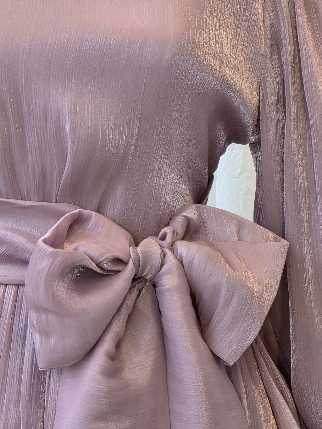 AURELIA Shimmery Organza Dress