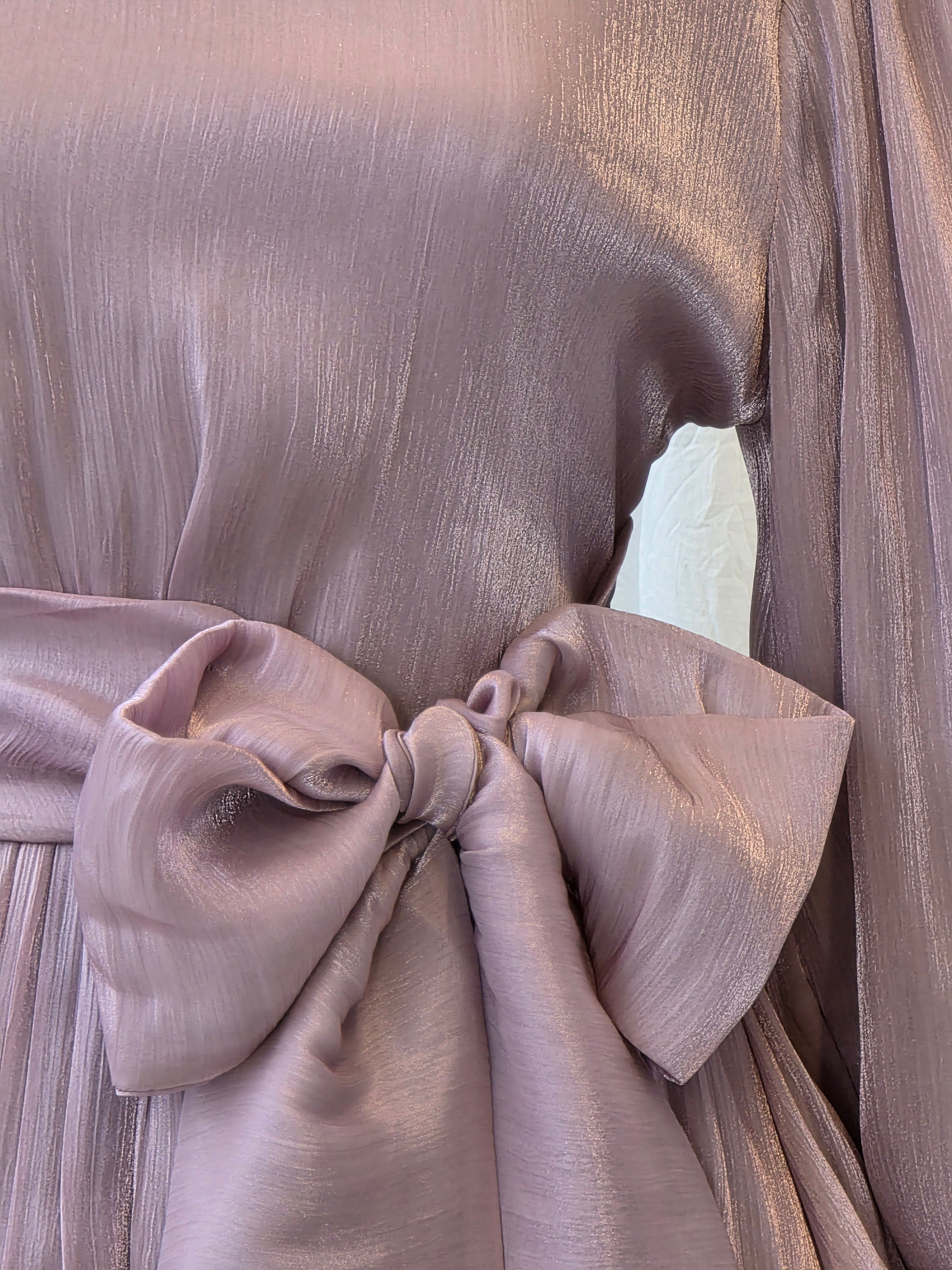 AURELIA Shimmery Organza Dress